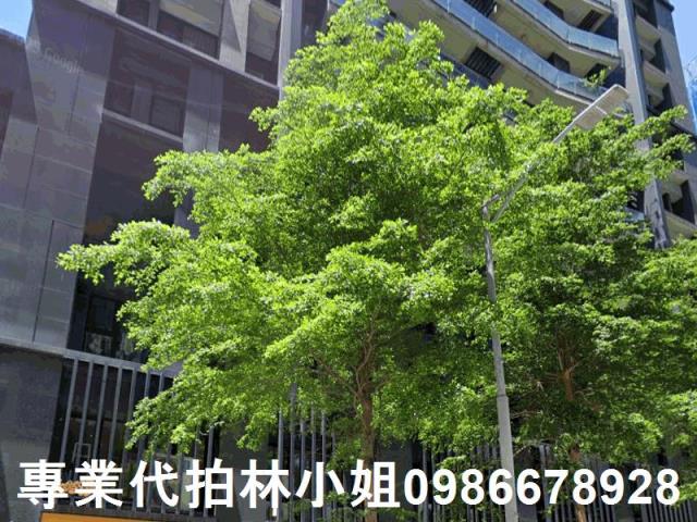 新莊法拍大樓-2