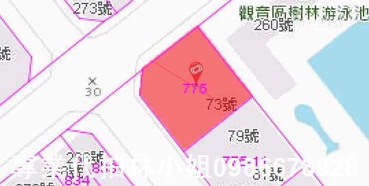 桃園觀音法拍華廈-3