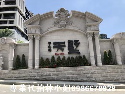 新北透天法拍-0
