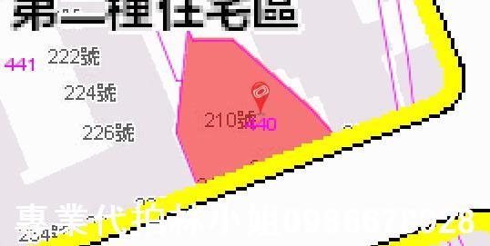 新北土城法拍華廈-5