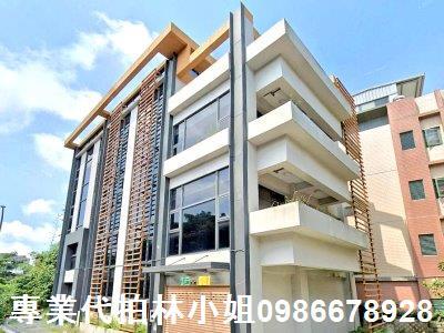 新北林口華廈法拍-3