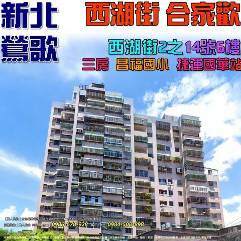 新北鶯歌拍賣大樓-1