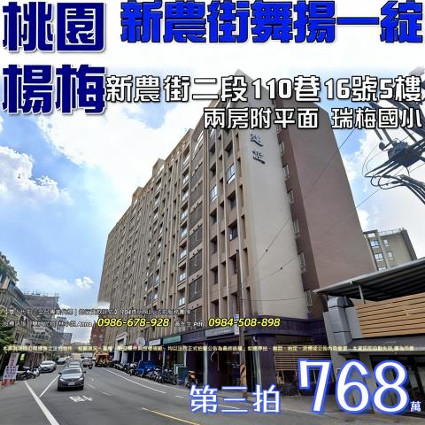 桃園楊梅法拍華廈-0